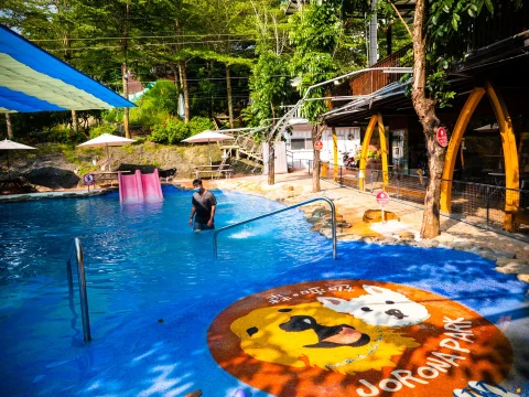 森呼吸Jorona Park寵物休閒廣場 11 - Travel of Rice 小米遊記 森呼吸Jorona Park寵物休閒廣場 11 - Travel of Rice 小米遊記