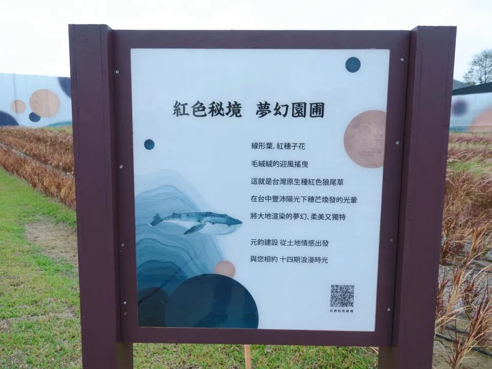 紅色狼尾草田 16 - Travel of Rice 小米遊記 紅色狼尾草田 16 - Travel of Rice 小米遊記