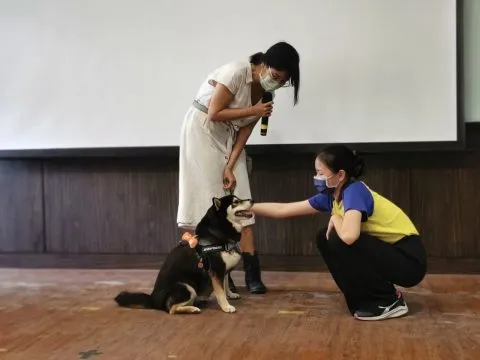 國光國小／台中南區 39 - Travel of Rice 小米遊記