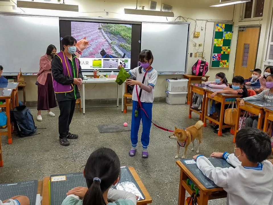 博愛國小/台北信義 68 - Travel of Rice 小米遊記 博愛國小/台北信義 66 - Travel of Rice 小米遊記