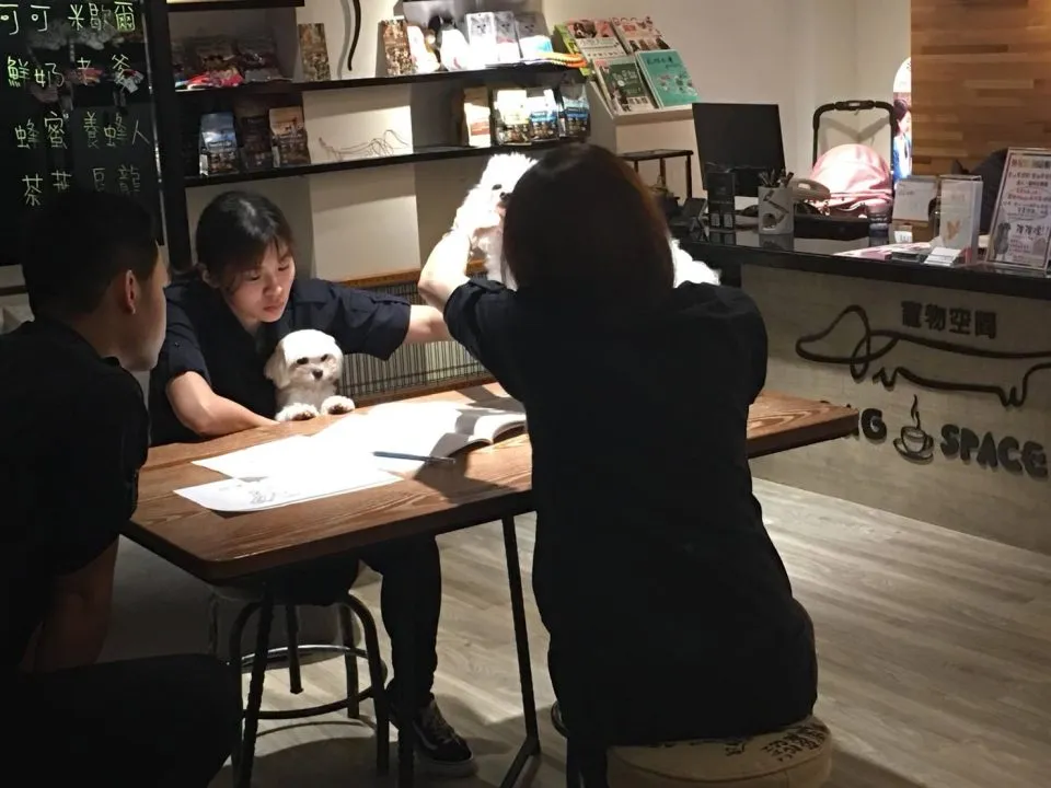 DOG SPACE 寵物空間 23 - Travel of Rice 小米遊記 DOG SPACE 寵物空間 23 - Travel of Rice 小米遊記