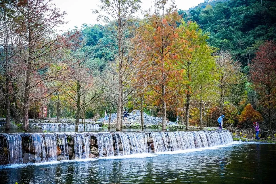 三層坪水土保持農塘教育園區 22 - Travel of Rice 小米遊記