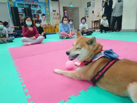 中坑國小／台中和平 29 - Travel of Rice 小米遊記