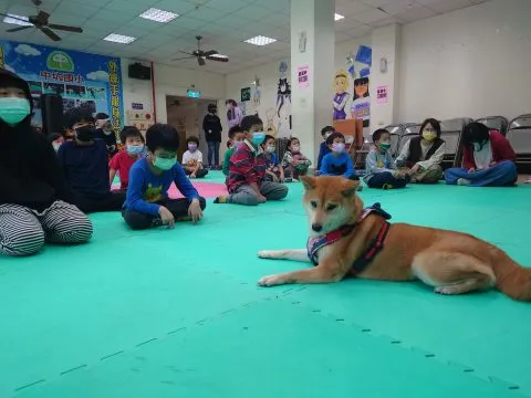 中坑國小／台中和平 30 - Travel of Rice 小米遊記