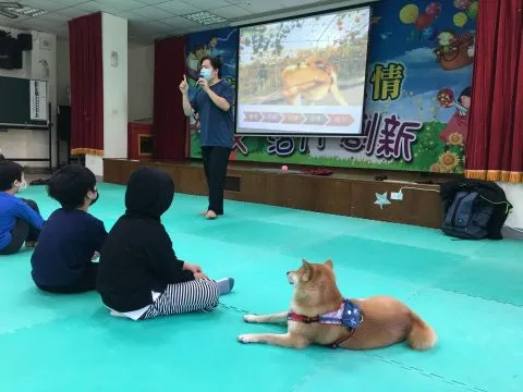 中坑國小／台中和平 41 - Travel of Rice 小米遊記