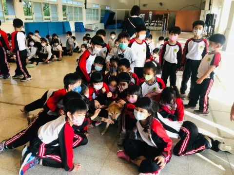 文雅國小/嘉義東區 42 - Travel of Rice 小米遊記 文雅國小/嘉義東區 42 - Travel of Rice 小米遊記