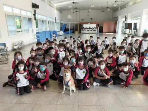 文雅國小/嘉義東區 43 - Travel of Rice 小米遊記 文雅國小/嘉義東區 43 - Travel of Rice 小米遊記