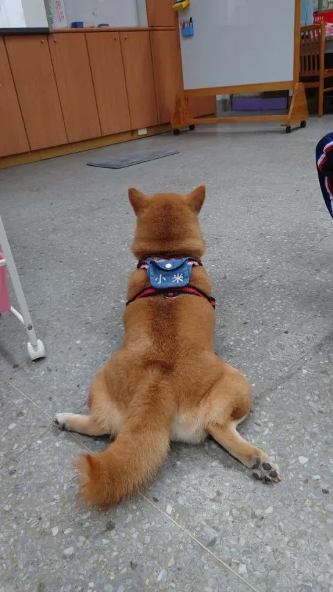 福德國小／台北信義 32 - Travel of Rice 小米遊記