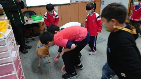 福德國小／台北信義 34 - Travel of Rice 小米遊記