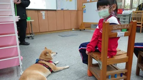 福德國小／台北信義 30 - Travel of Rice 小米遊記