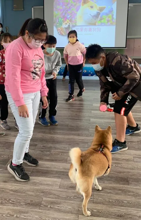 三江國小／嘉義東石 65 - Travel of Rice 小米遊記