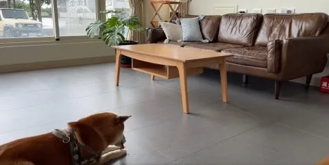 小k咖啡b&b 23 - Travel of Rice 小米遊記