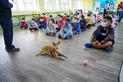 三江國小／嘉義東石 46 - Travel of Rice 小米遊記