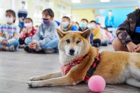 三江國小／嘉義東石 49 - Travel of Rice 小米遊記