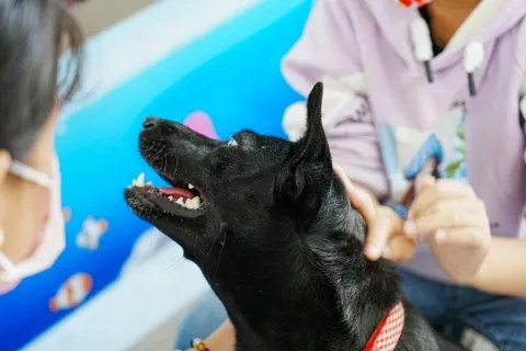 三江國小／嘉義東石 51 - Travel of Rice 小米遊記