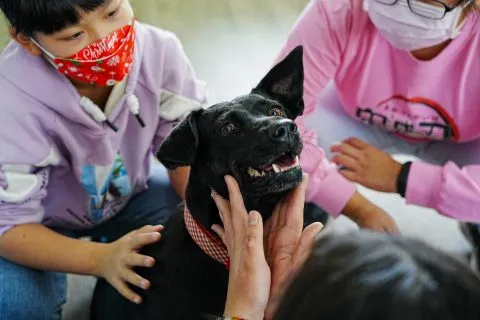 三江國小／嘉義東石 52 - Travel of Rice 小米遊記