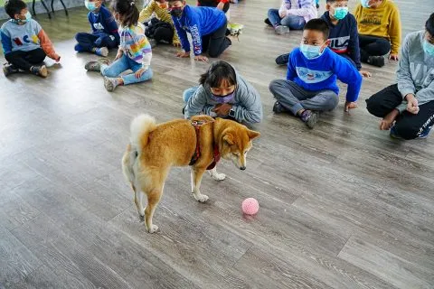 三江國小／嘉義東石 53 - Travel of Rice 小米遊記
