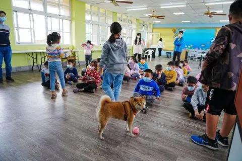 三江國小／嘉義東石 54 - Travel of Rice 小米遊記