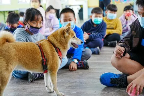 三江國小／嘉義東石 55 - Travel of Rice 小米遊記