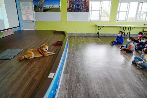 三江國小／嘉義東石 56 - Travel of Rice 小米遊記