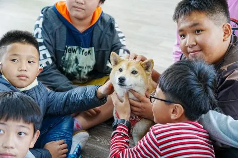 三江國小／嘉義東石 58 - Travel of Rice 小米遊記
