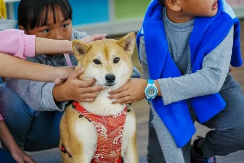 三江國小／嘉義東石 60 - Travel of Rice 小米遊記