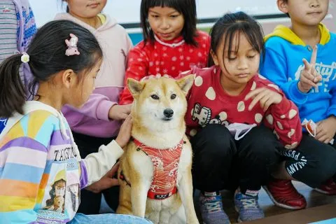 三江國小／嘉義東石 63 - Travel of Rice 小米遊記