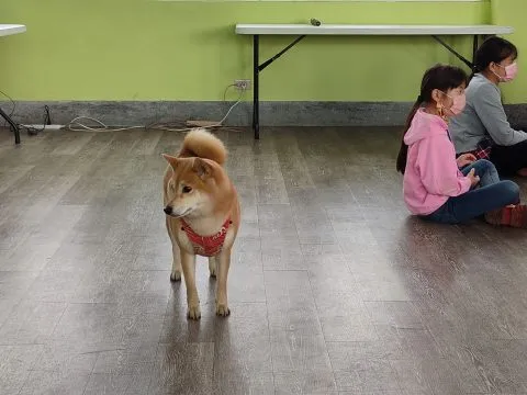 三江國小／嘉義東石 70 - Travel of Rice 小米遊記