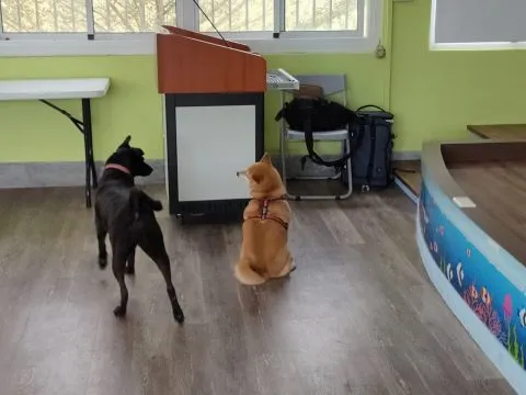 三江國小／嘉義東石 73 - Travel of Rice 小米遊記