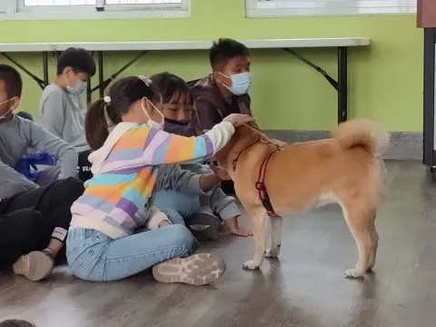 三江國小／嘉義東石 77 - Travel of Rice 小米遊記