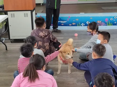 三江國小／嘉義東石 79 - Travel of Rice 小米遊記