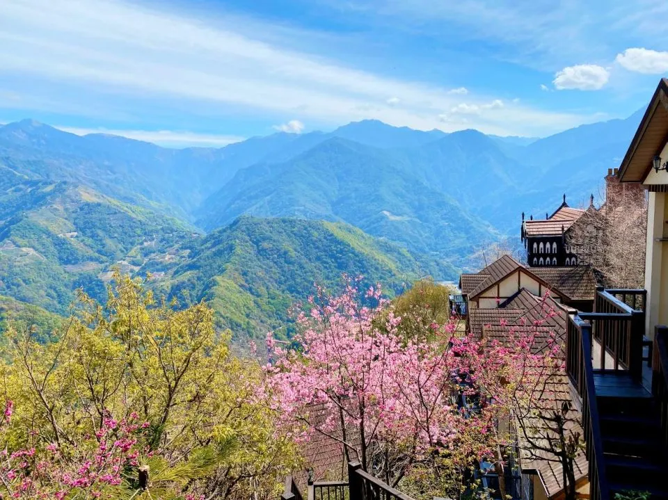 清境蒙塔妮手作甜點 Pâtisserie à la Montagne 99 - Travel of Rice 小米遊記 清境蒙塔妮手作甜點 Pâtisserie à la Montagne 99 - Travel of Rice 小米遊記