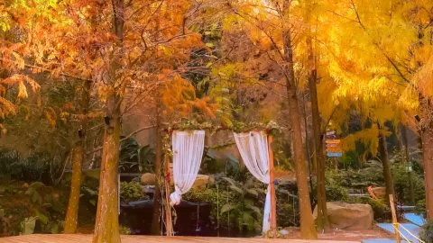 享自在生態園區 49 - Travel of Rice 小米遊記 享自在生態園區 49 - Travel of Rice 小米遊記