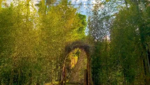 享自在生態園區 50 - Travel of Rice 小米遊記 享自在生態園區 50 - Travel of Rice 小米遊記