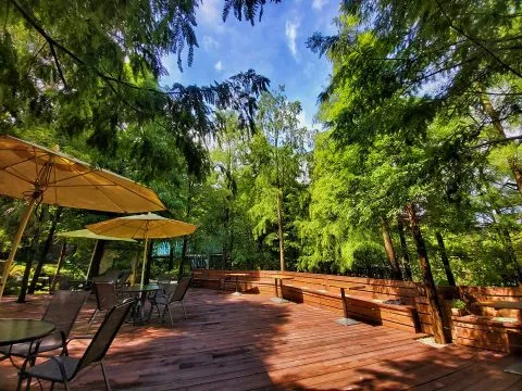 享自在生態園區 51 - Travel of Rice 小米遊記 享自在生態園區 51 - Travel of Rice 小米遊記