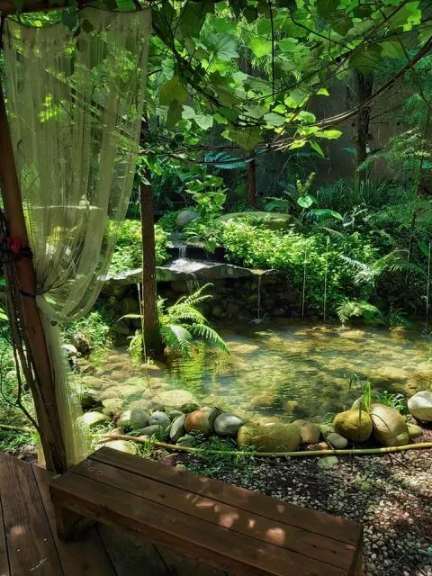 享自在生態園區 52 - Travel of Rice 小米遊記 享自在生態園區 52 - Travel of Rice 小米遊記