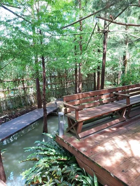 享自在生態園區 53 - Travel of Rice 小米遊記 享自在生態園區 53 - Travel of Rice 小米遊記