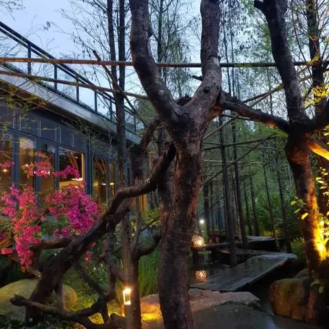 享自在生態園區 54 - Travel of Rice 小米遊記 享自在生態園區 54 - Travel of Rice 小米遊記