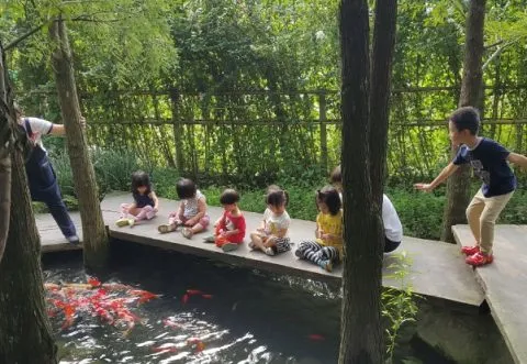 享自在生態園區 60 - Travel of Rice 小米遊記 享自在生態園區 60 - Travel of Rice 小米遊記