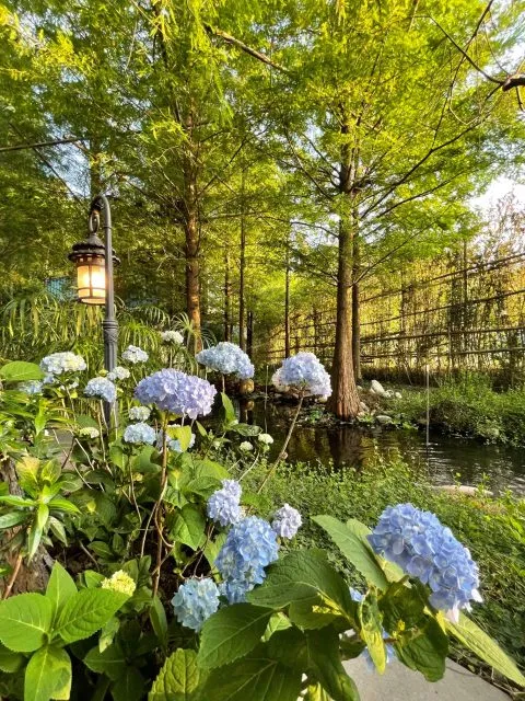 享自在生態園區 63 - Travel of Rice 小米遊記 享自在生態園區 63 - Travel of Rice 小米遊記