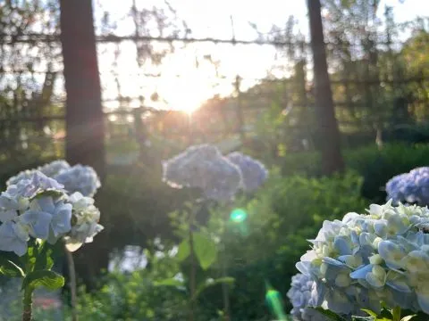 享自在生態園區 64 - Travel of Rice 小米遊記 享自在生態園區 64 - Travel of Rice 小米遊記