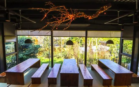 享自在生態園區 71 - Travel of Rice 小米遊記 享自在生態園區 71 - Travel of Rice 小米遊記