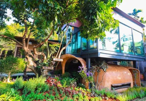 享自在生態園區 83 - Travel of Rice 小米遊記 享自在生態園區 83 - Travel of Rice 小米遊記