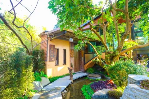 享自在生態園區 85 - Travel of Rice 小米遊記 享自在生態園區 85 - Travel of Rice 小米遊記