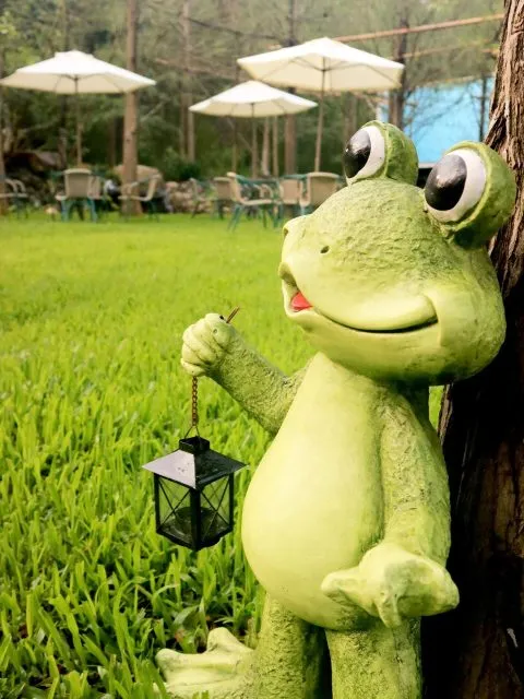 享自在生態園區 87 - Travel of Rice 小米遊記 享自在生態園區 87 - Travel of Rice 小米遊記