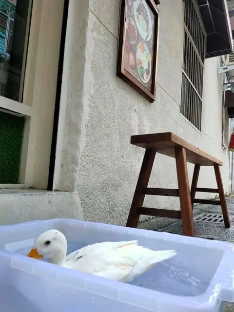 玖貳,甜不辣,鍋燒麵,咖哩飯 28 - Travel of Rice 小米遊記 玖貳,甜不辣,鍋燒麵,咖哩飯 28 - Travel of Rice 小米遊記