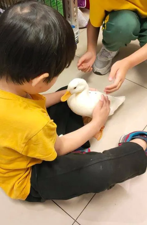 玖貳,甜不辣,鍋燒麵,咖哩飯 38 - Travel of Rice 小米遊記 玖貳,甜不辣,鍋燒麵,咖哩飯 38 - Travel of Rice 小米遊記