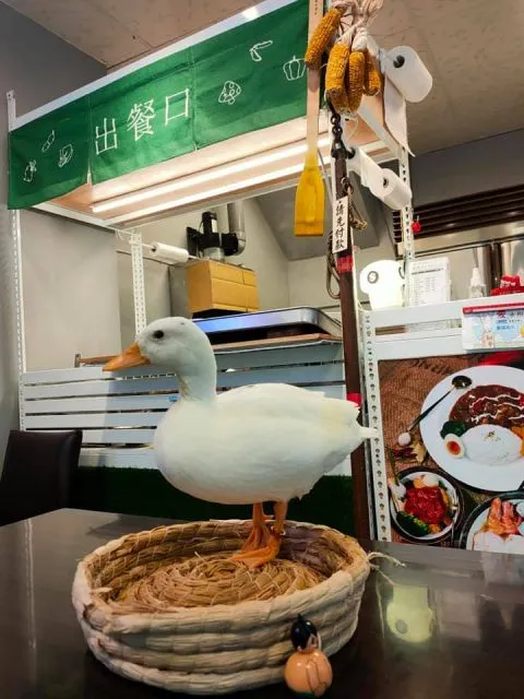 玖貳,甜不辣,鍋燒麵,咖哩飯 40 - Travel of Rice 小米遊記 玖貳,甜不辣,鍋燒麵,咖哩飯 40 - Travel of Rice 小米遊記