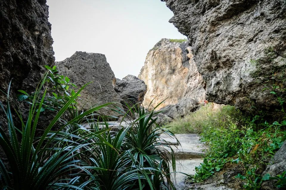 永安橋遺址 16 - Travel of Rice 小米遊記 永安橋遺址 16 - Travel of Rice 小米遊記