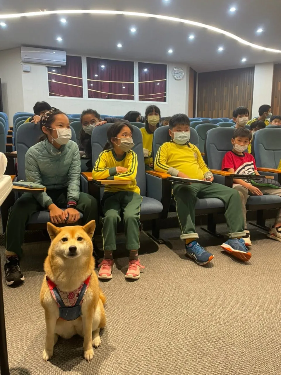 雨農國小/台北士林 26 - Travel of Rice 小米遊記 雨農國小/台北士林 26 - Travel of Rice 小米遊記